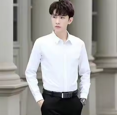 Long-sleeved Shirt Men's Non-iron Business Formal Wear White Black Spring and Autumn Solid Color Shirt Men's Thin Inch Shirt Top